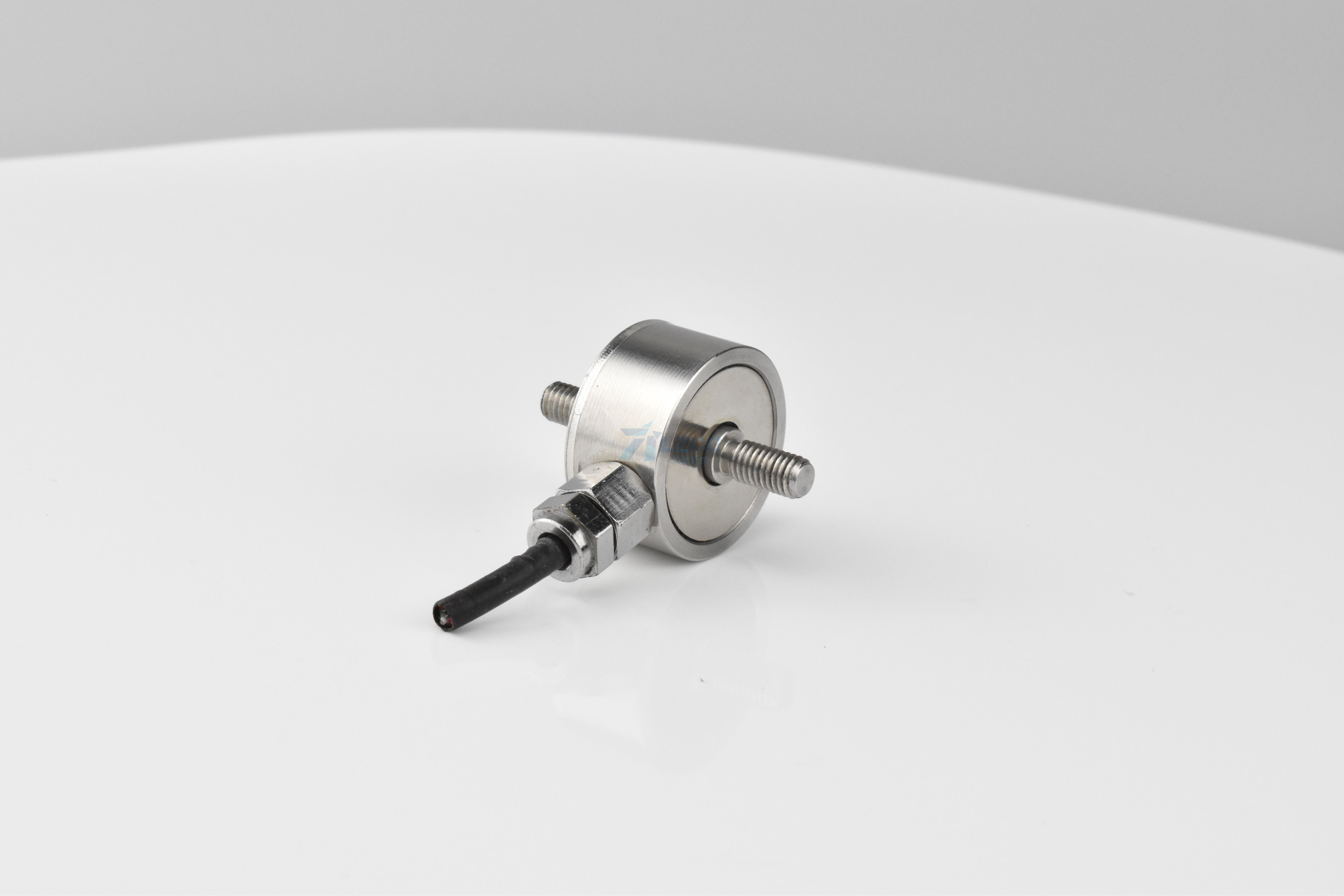 稱(chēng)重傳感器由帶應(yīng)變片的彈性體組成(圖1) DSC_0021.JPG